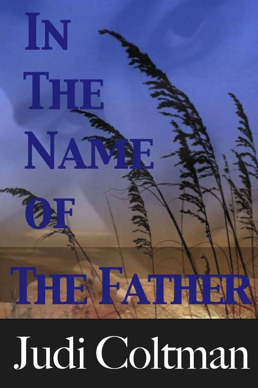 Judi Coltman | In The Name Of The Father | Taschenbuch | Englisch (2011)-image
