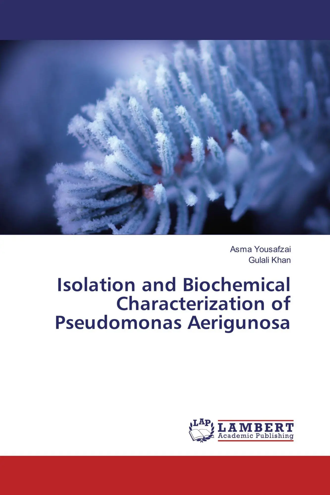 Asma Yousafzai (U. A.) | Isolation And Biochemical Characterization Of...-image