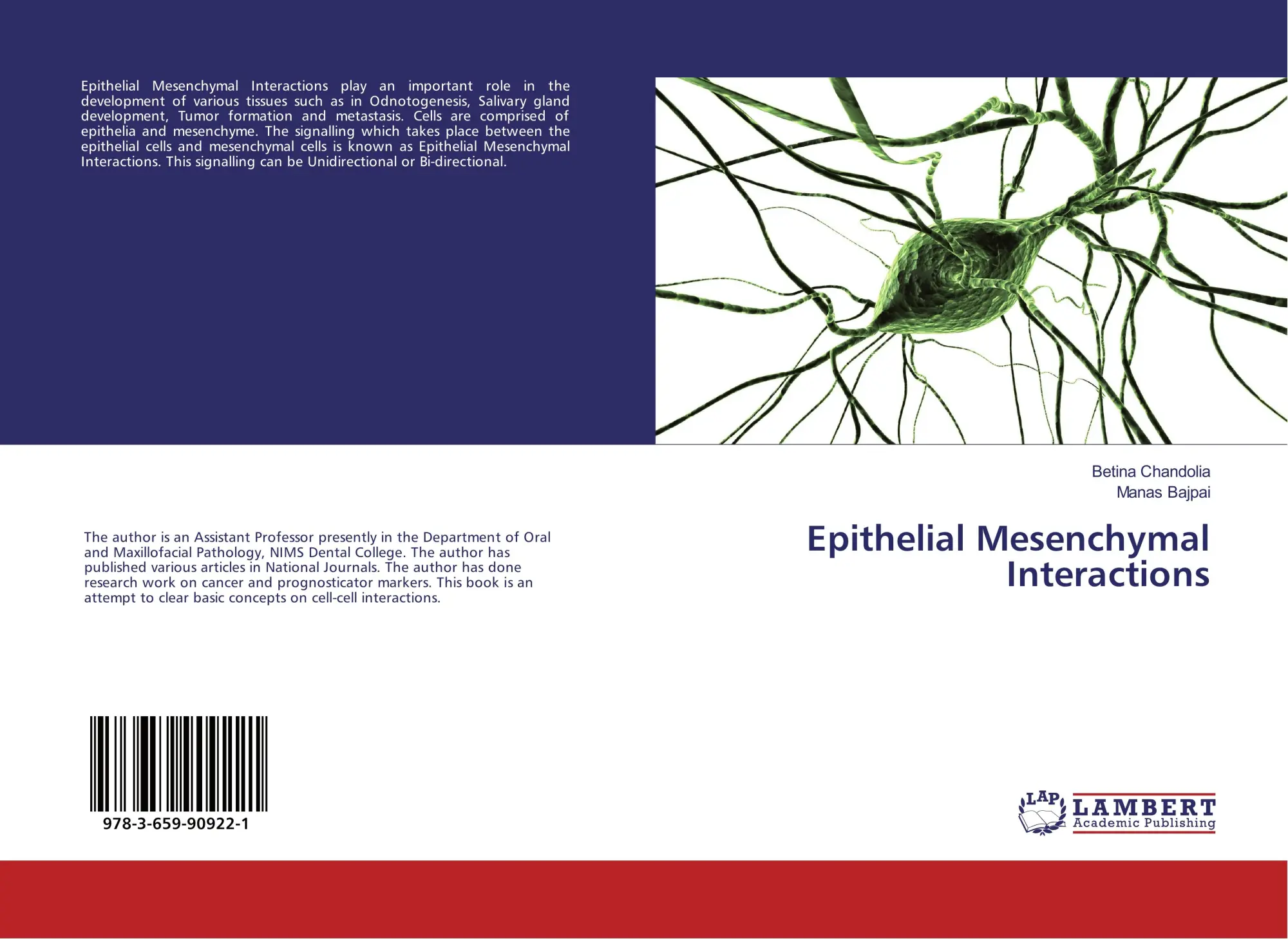 Betina Chandolia (U. A.) | Epithelial Mesenchymal Interactions | Taschenbuch-image