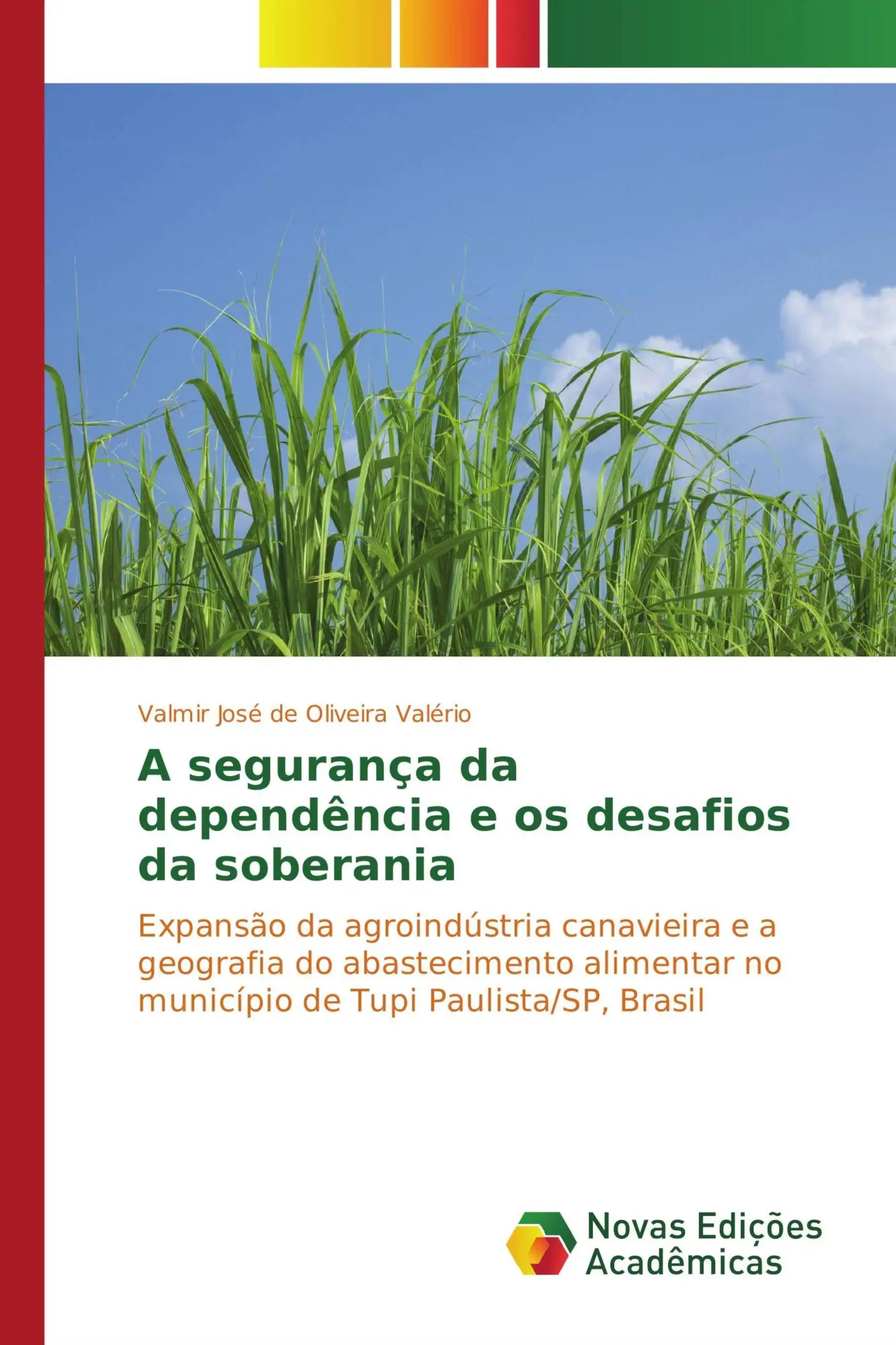 Valmir José De Oliveira ValéRio | A SegurançA Da DependêNcia E Os Desafios Da...-image
