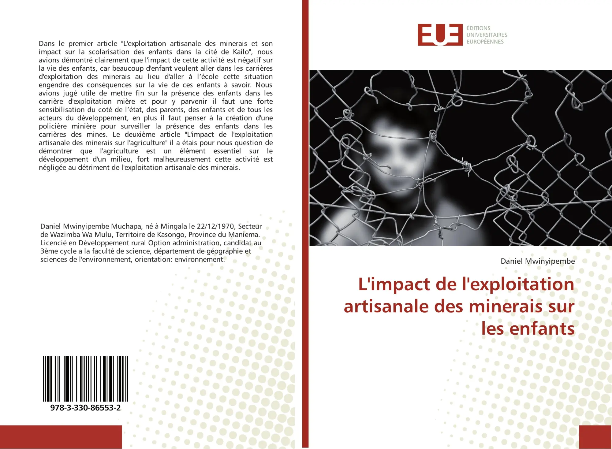 Daniel Mwinyipembe | L'impact De L'exploitation Artisanale Des Minerais Sur...-image