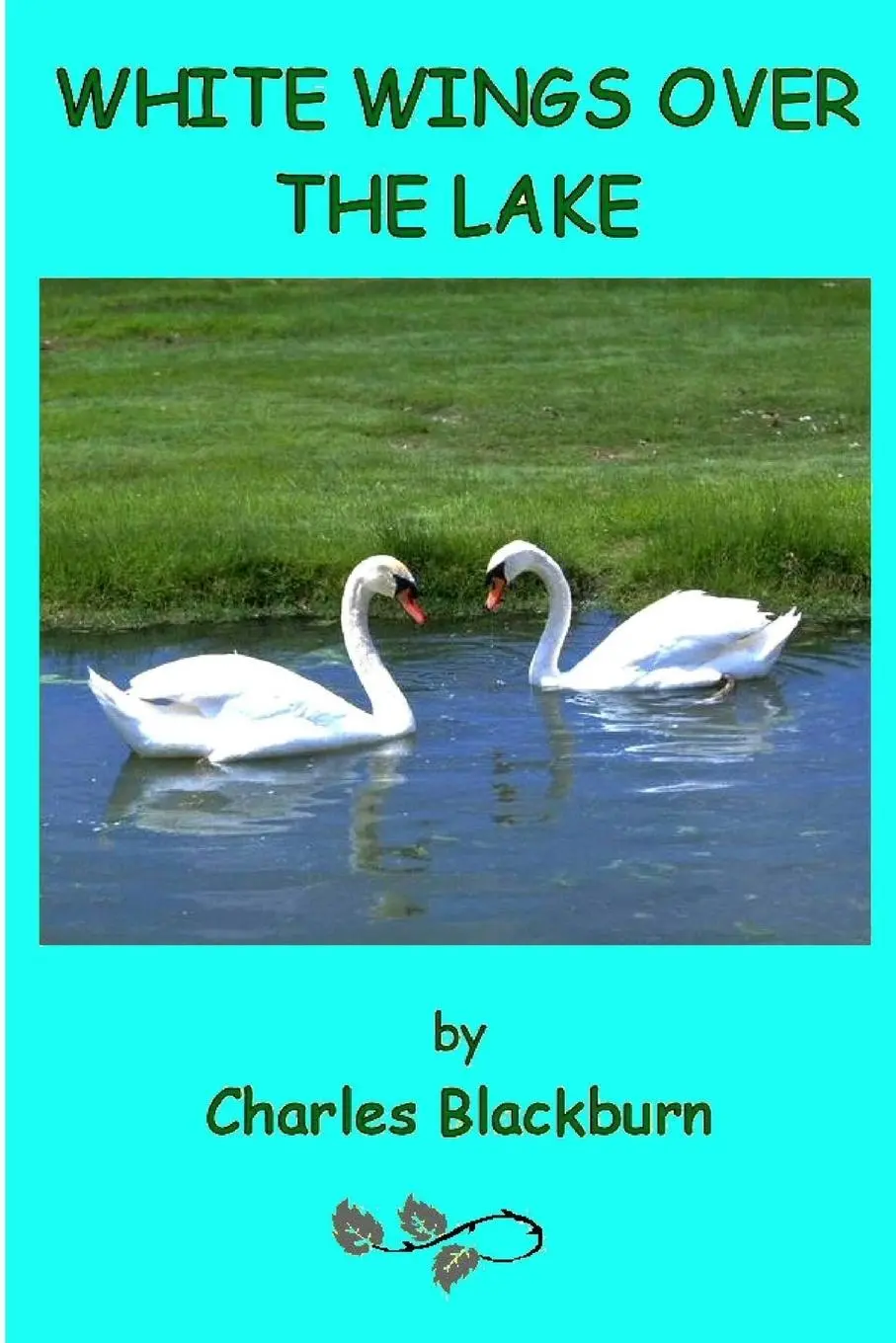 Robbie Robinson | White Wings Over The Lake | Taschenbuch | Englisch (2016)-image
