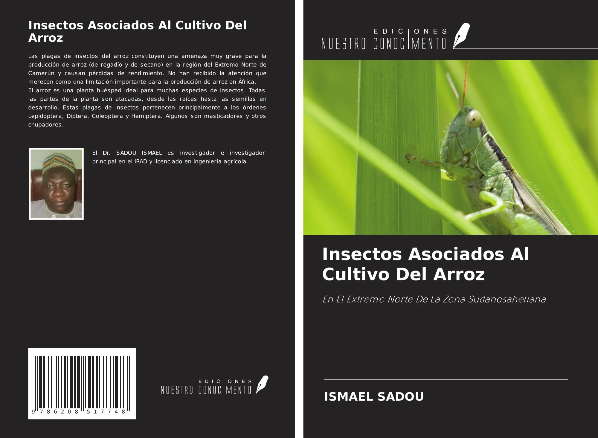 Ismael Sadou | Insectos Asociados Al Cultivo Del Arroz | Taschenbuch | Spanisch-image