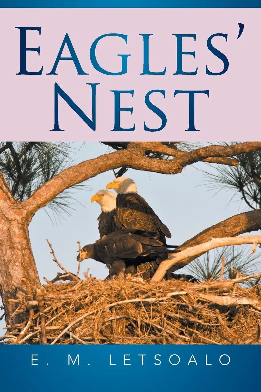 E. M. Letsoalo | Eagles' Nest | Taschenbuch | Englisch (2016) | Xlibris-image