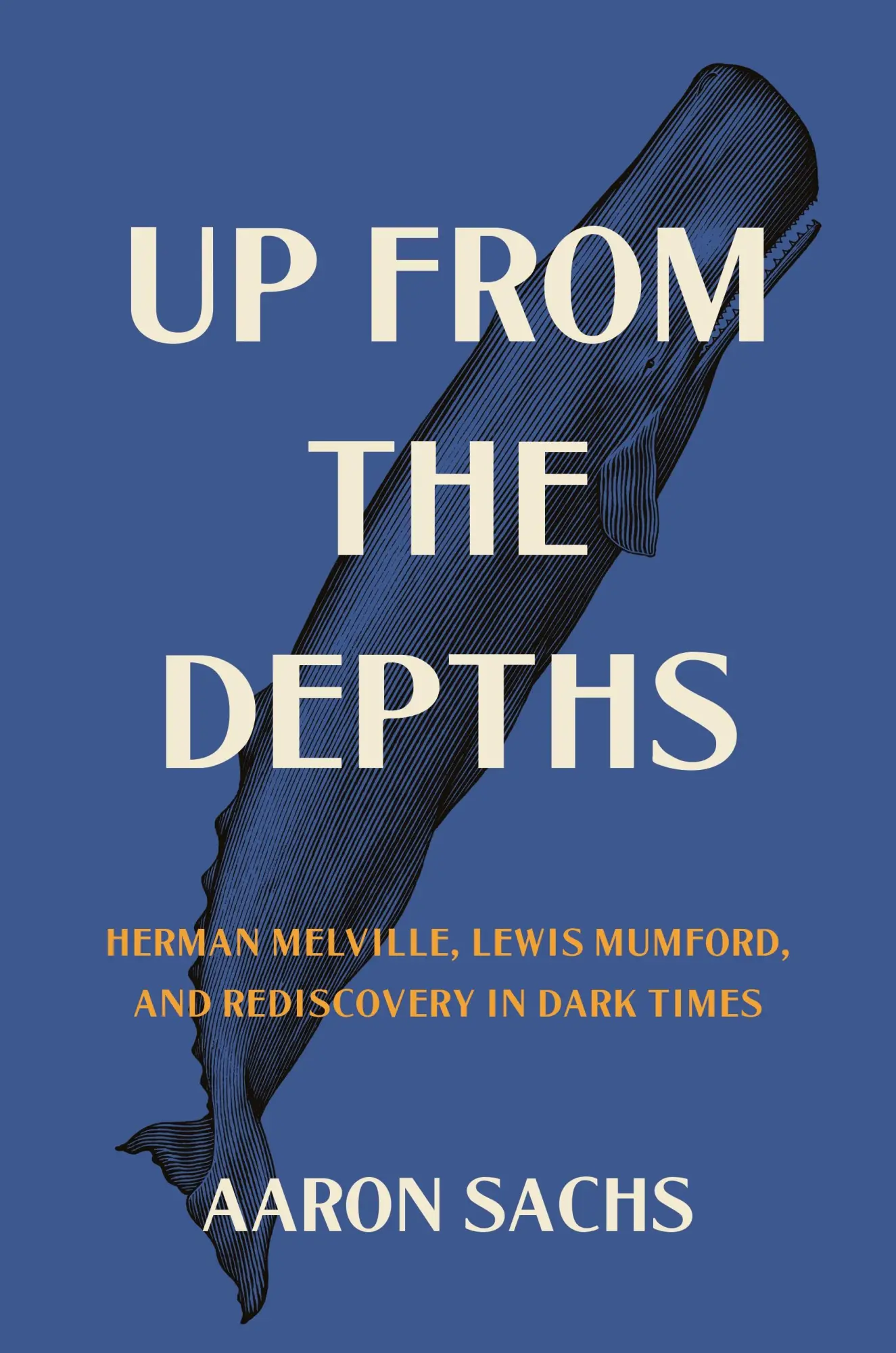 Aaron Sachs | Up From The Depths | Taschenbuch | Englisch (2024)-image