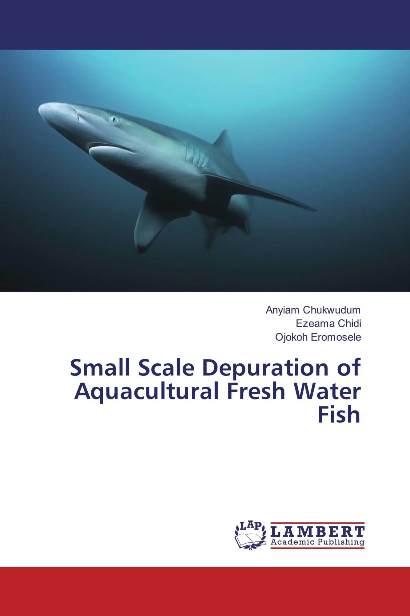Anyiam Chukwudum (U. A.) | Small Scale Depuration Of Aquacultural Fresh Water...-image