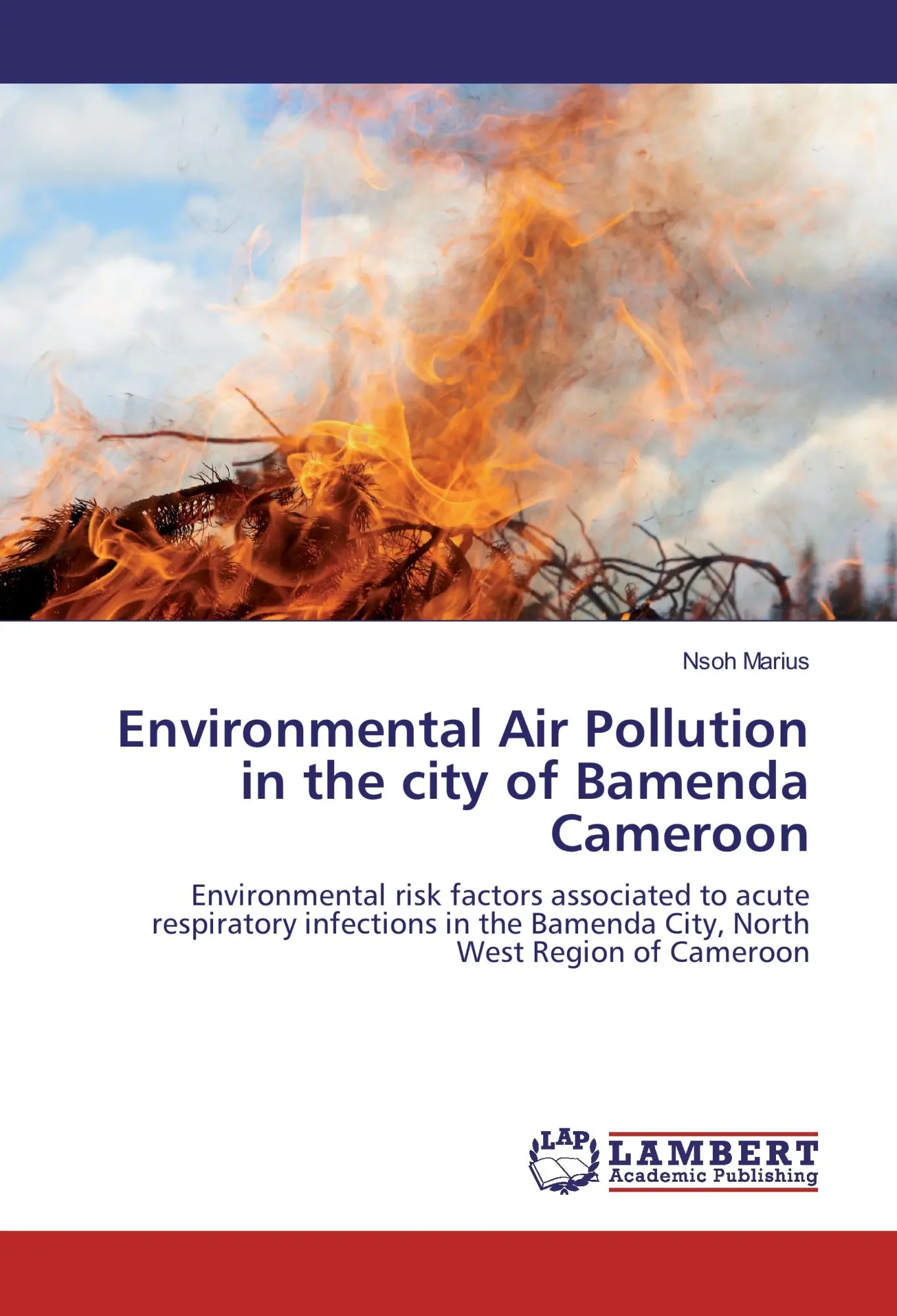 Nsoh Marius | Environmental Air Pollution In The City Of Bamenda Cameroon | Buch-image