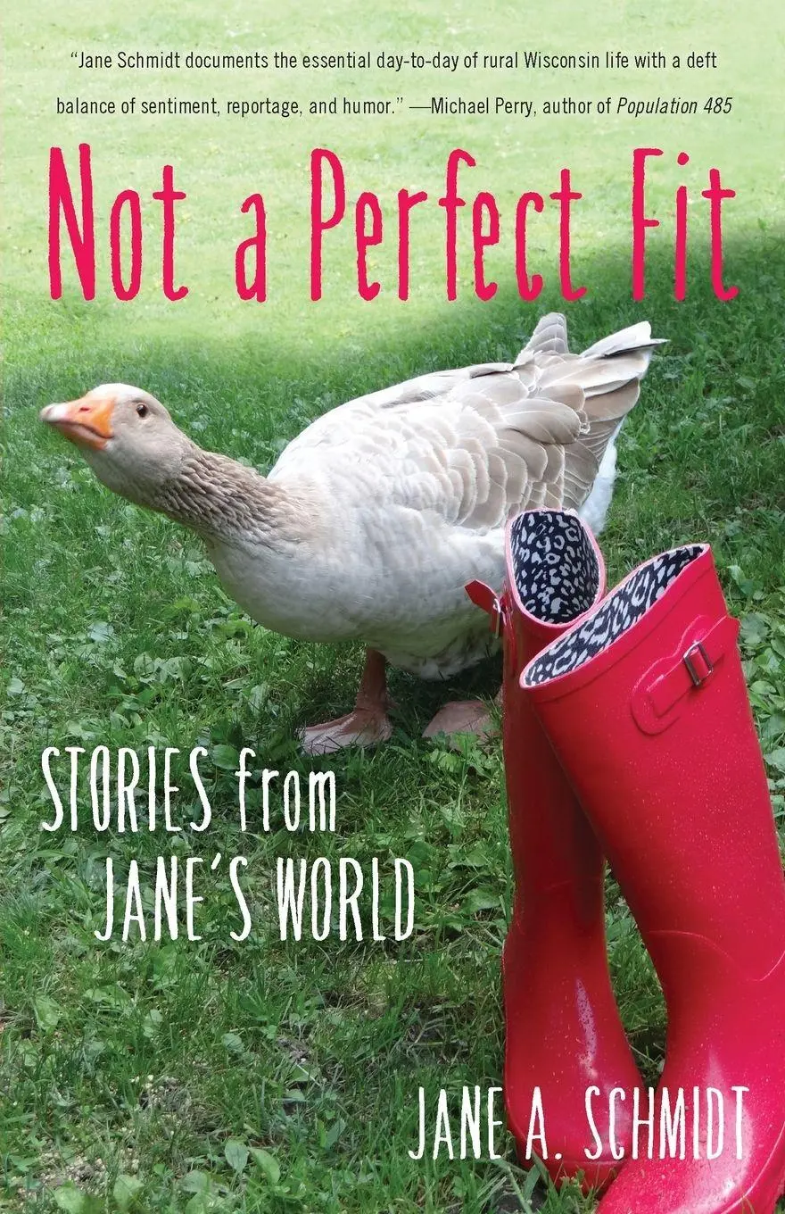Jane A. Schmidt | Not A Perfect Fit | Taschenbuch | Englisch (2017)-image