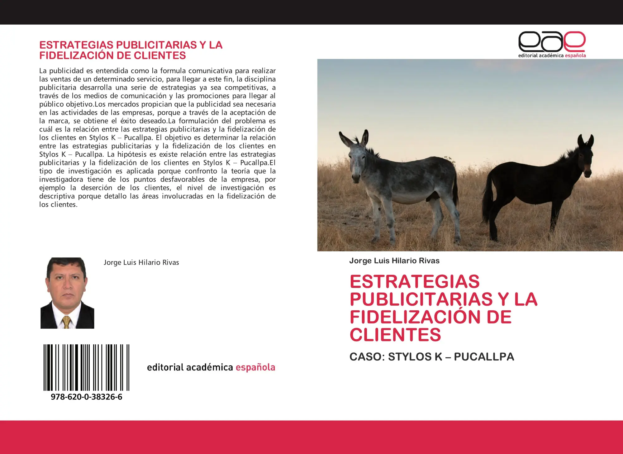 Jorge Luis Hilario Rivas | Estrategias Publicitarias Y La FidelizaciÓN De...-image