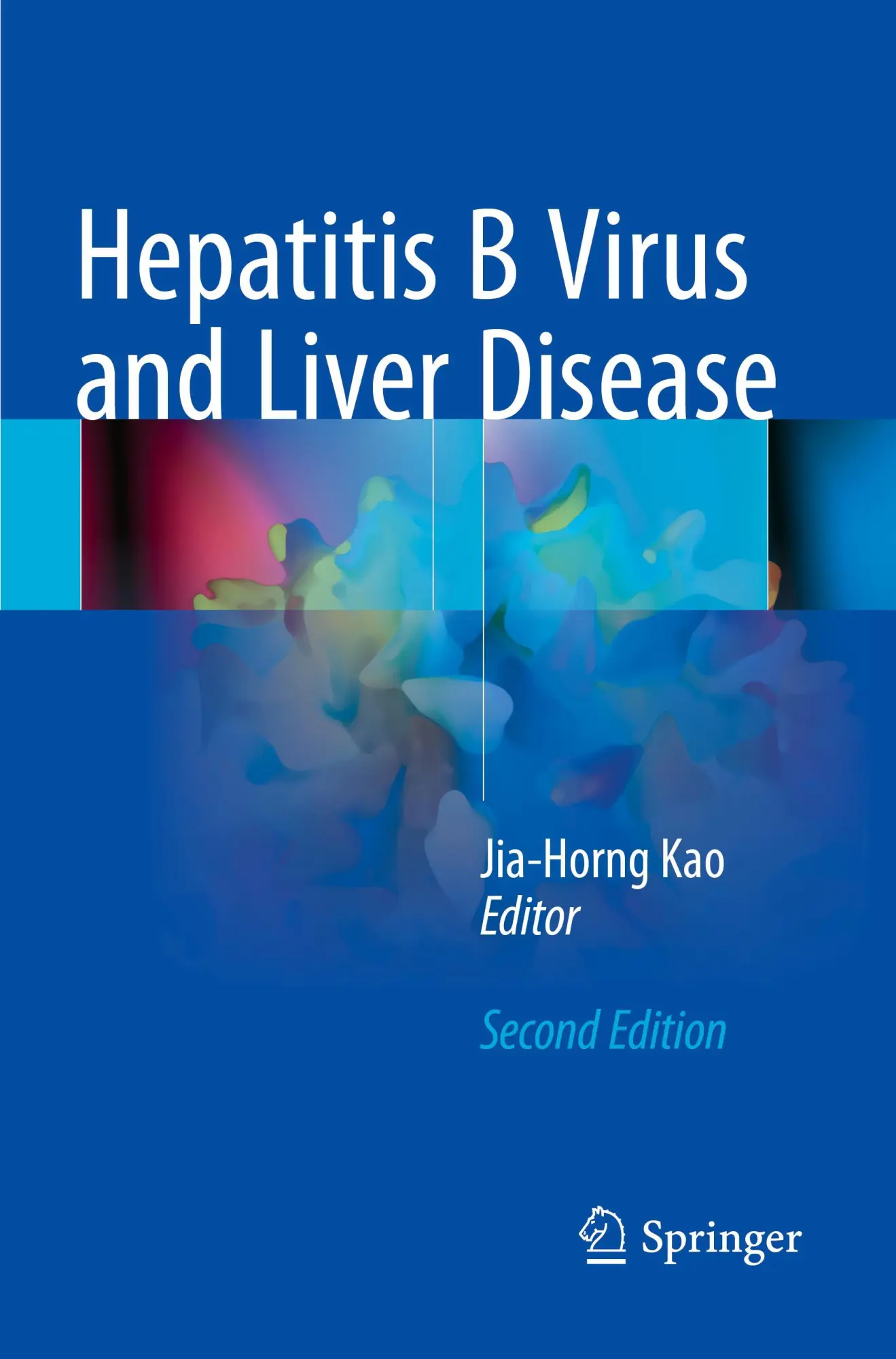 Jia-Horng Kao | Hepatitis B Virus And Liver Disease | Taschenbuch | Englisch-image