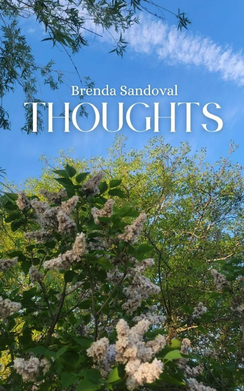 Brenda Sandoval | Thoughts | Taschenbuch | Englisch (2023) | EAN 9789358367485-image