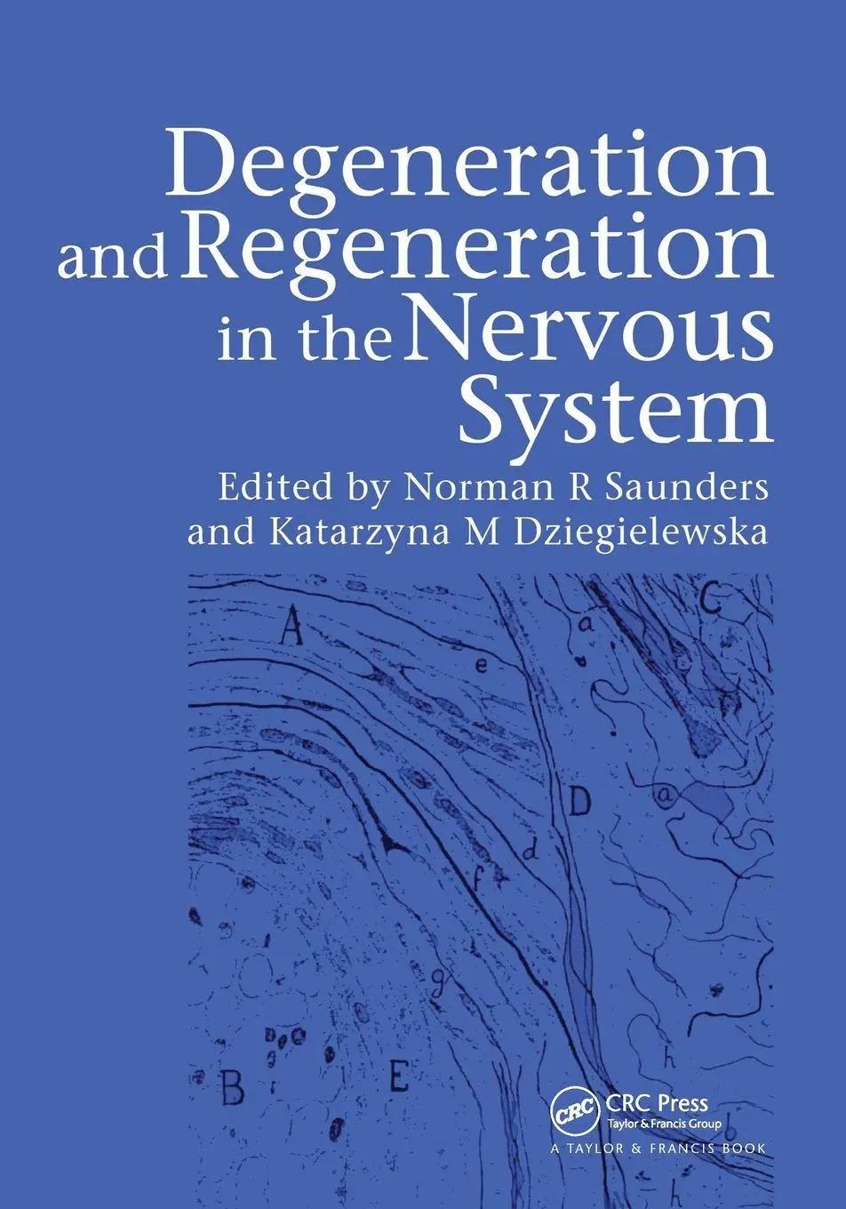 Norman Saunders (U. A.) | Degeneration And Regeneration In The Nervous System-image