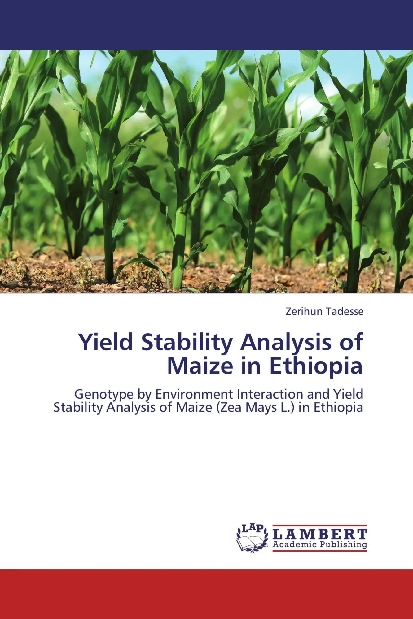 Zerihun Tadesse | Yield Stability Analysis Of Maize In Ethiopia | Taschenbuch-image
